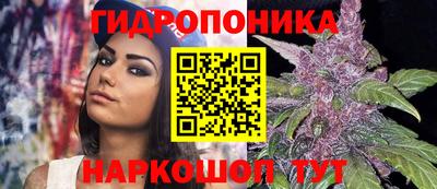 трава Будённовск