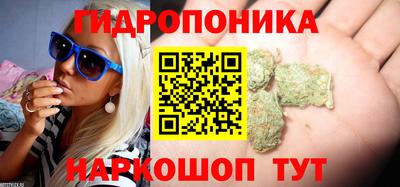 трава Будённовск
