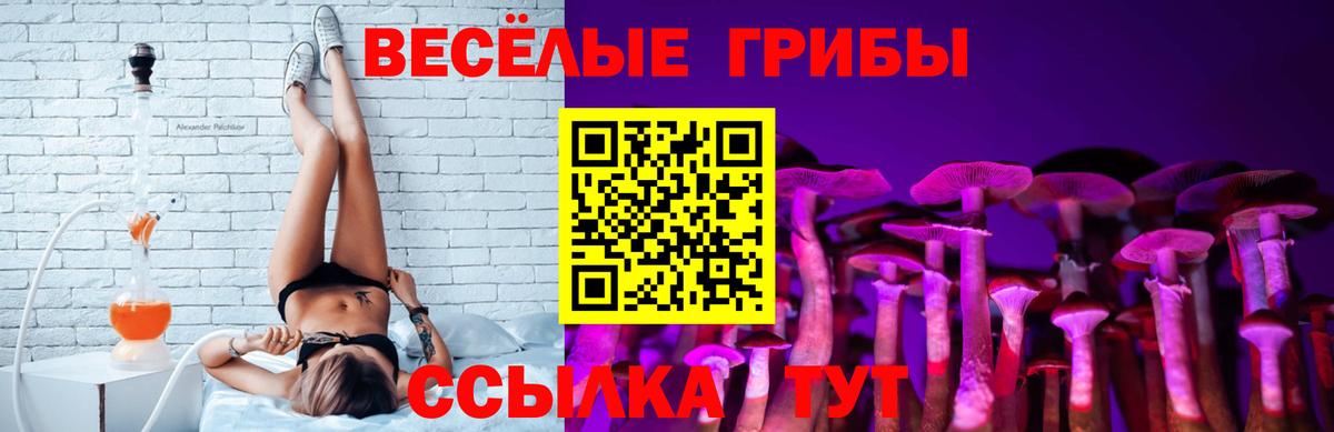 Галлюциногенные грибы прущие грибы  Вход с VPN  Галлюциногенные грибы Psilocybe  Нарьян-Мар 